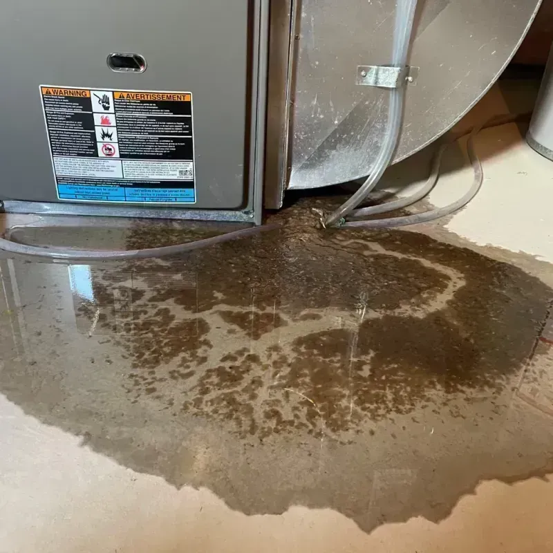 Appliance Leak Cleanup in Silverthorne, CO